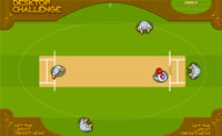 Cricket 2