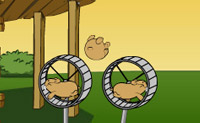 play Hamster Flying