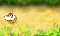 play Hamster Race 4