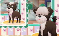 play Doggy Salon