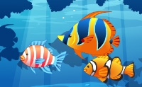 play My Sweet Fish