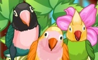 play My Sweet Bird