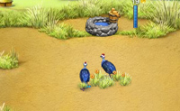 play Animal Care 5