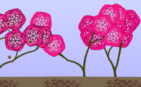 play Seeding Plants