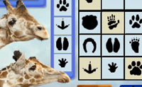 play Animal Sudoku