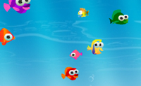 play Hungry Fishy