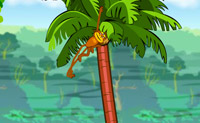 play Slinging Monkey