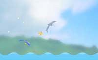 play Dolphin Jumping 4