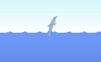 play Dolphin Olympic