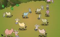 play Save Animals 2