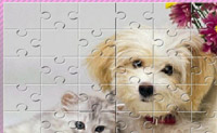 play Dog Puzzle