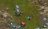 play Insect Attack