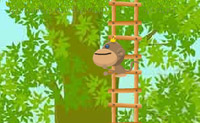 play King Monkey