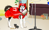 play Dogs At The Vet