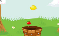 play Catch The Fruits