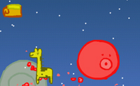 play The Bounce