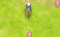 play Catch Pigs
