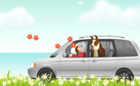 play Collect Flowers