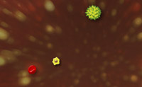 play Amoebe