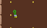 play Pacco