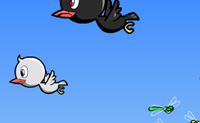 play Hungry Bird