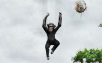 play Monkey Flight
