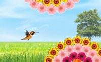 play Colour Quest