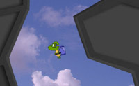 play Turtle Flight