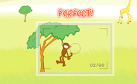 play Safari Photographer