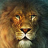 play King Lion Puzzle