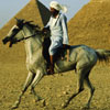 play Bedouin