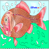 play Orange Roughy Coloring