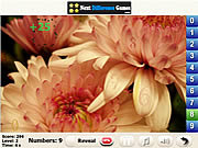 play Sunset Find Numbers