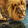 play Big Thirsty Lion Slide Puzzle