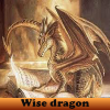 play Wise Dragon 5 Differences