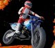 play Risky Rider 3