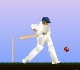 play Top Spinner Cricket