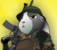 Rabbit Sniper 3