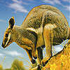 play Cute Kangaroo Slide Puzzle