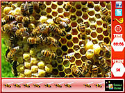 play Honeycomb - Hidden Bees