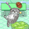 play Kitten Grooming
