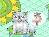 play Kitten Grooming