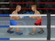 Slide Ring Knockout