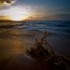 play Lake Victoria Jigsaw