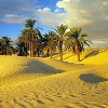 play Desert Rain Find Numbers