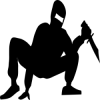 play Ninja Slider