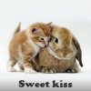 Sweet Kiss