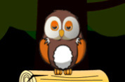play Successful Owl