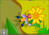 play Boobee