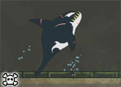 play Killer Whale